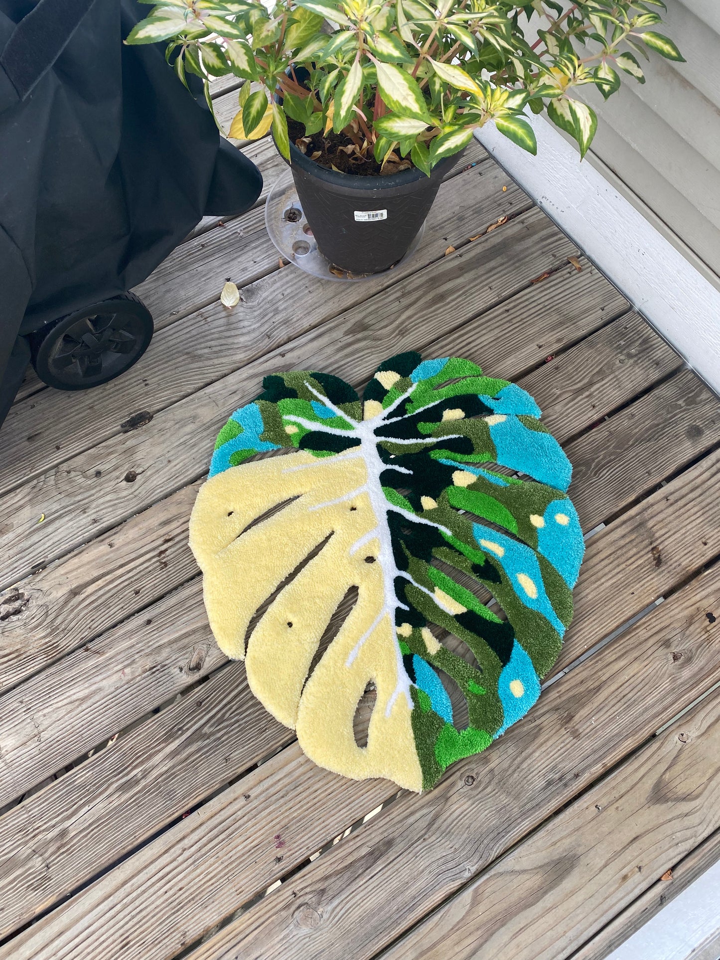 Variegated Monstera Leaf Rug